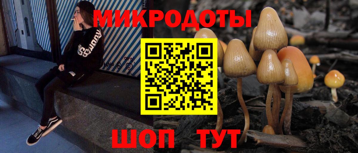 Борисоглебск  Галлюциногенные грибы Psilocybe  Псилоцибиновые грибы мицелий  Вход с VPN 