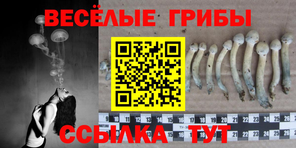 Псилоцибиновые грибы MAGIC MUSHROOMS Борисоглебск