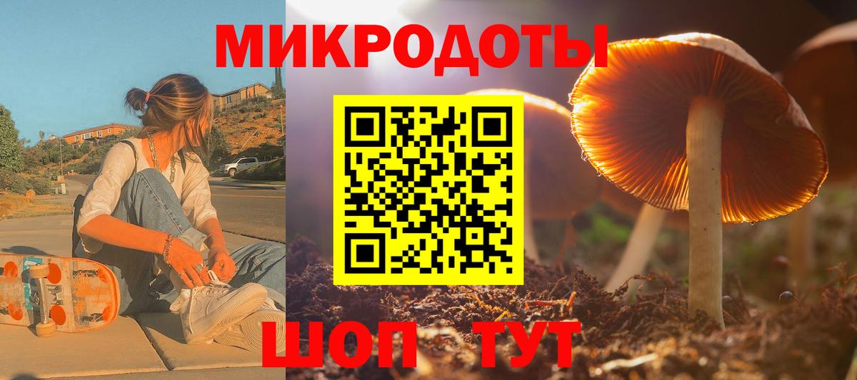 Галлюциногенные грибы MAGIC MUSHROOMS  Борисоглебск  Псилоцибиновые грибы Psilocybe 
